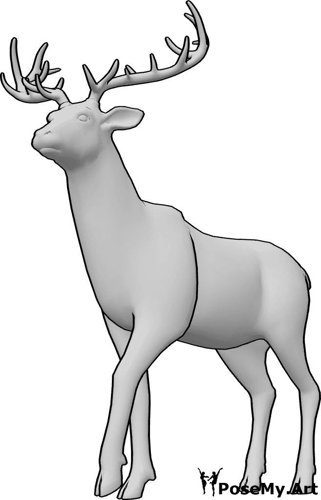 Pose Reference- Deer pose - Deer is standing calmly with its head slightly raised