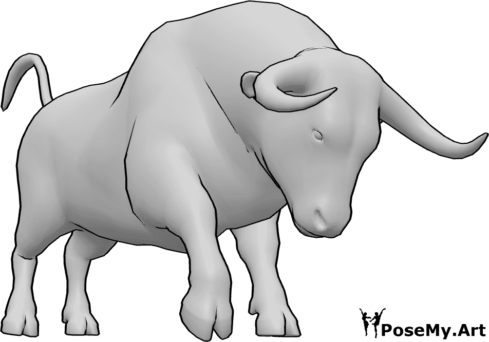 Pose Reference- Bull pose - Bull is lowering its head and charging forward with powerful front legs
