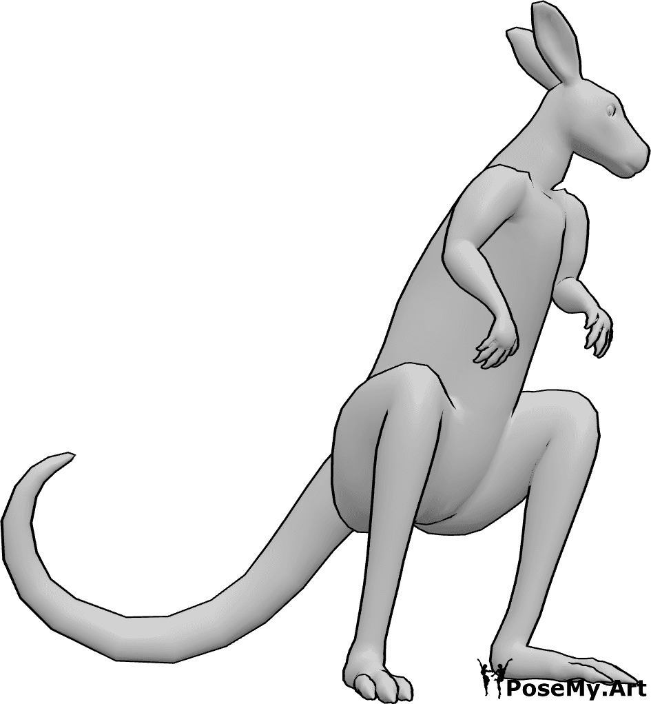 Pose Reference- Kangaroo pose - Kangaroo is crouched, ready to leap forward, looking to the left