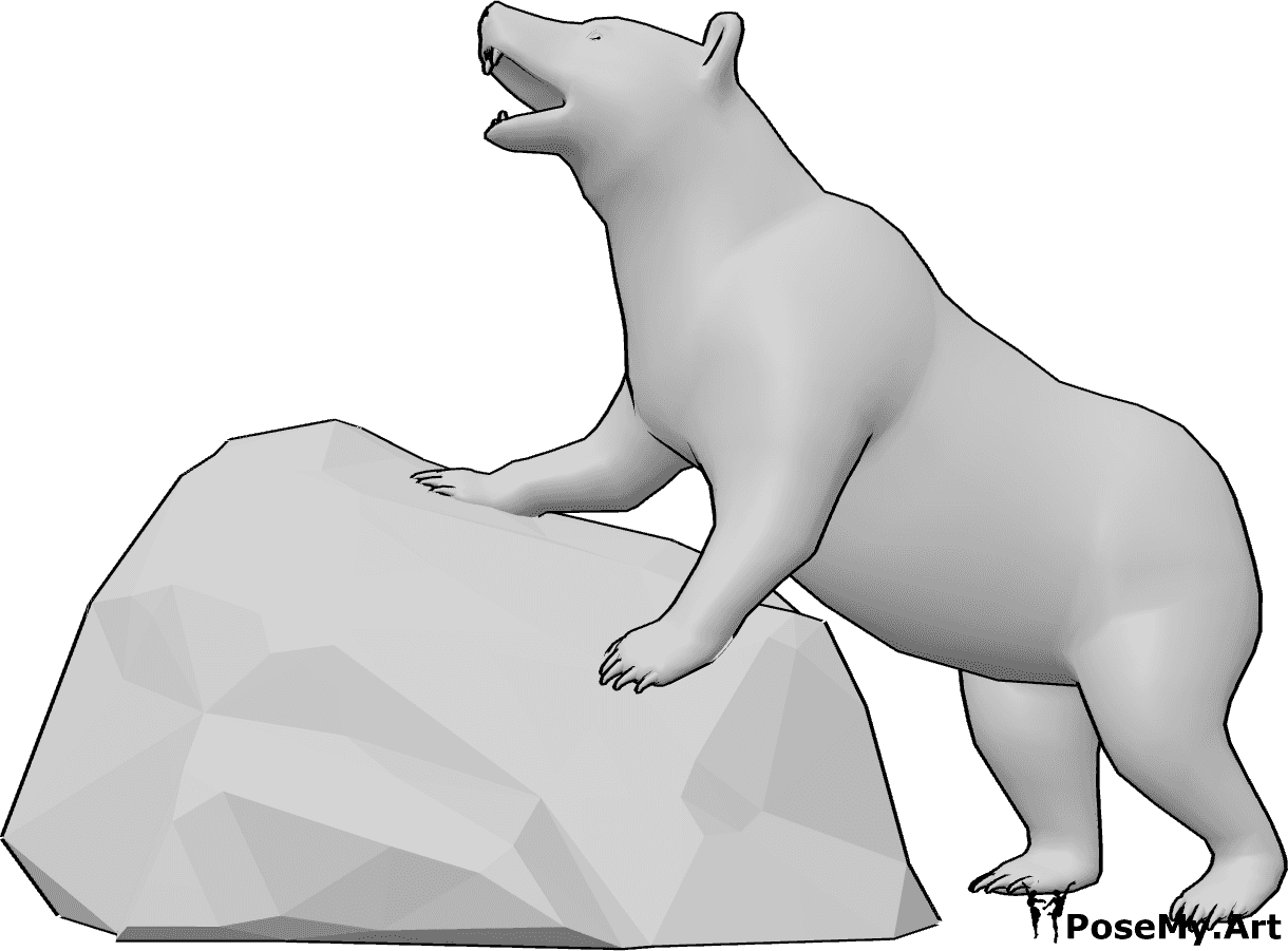 Pose Reference- Bear pose - Bear is bracing against a large rock while roaring with its head raised