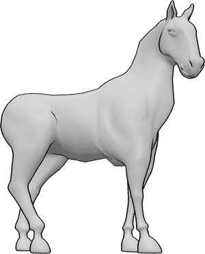 Pose Reference- Horse pose - Horse is standing calmly in a relaxed posture, looking slightly to the right