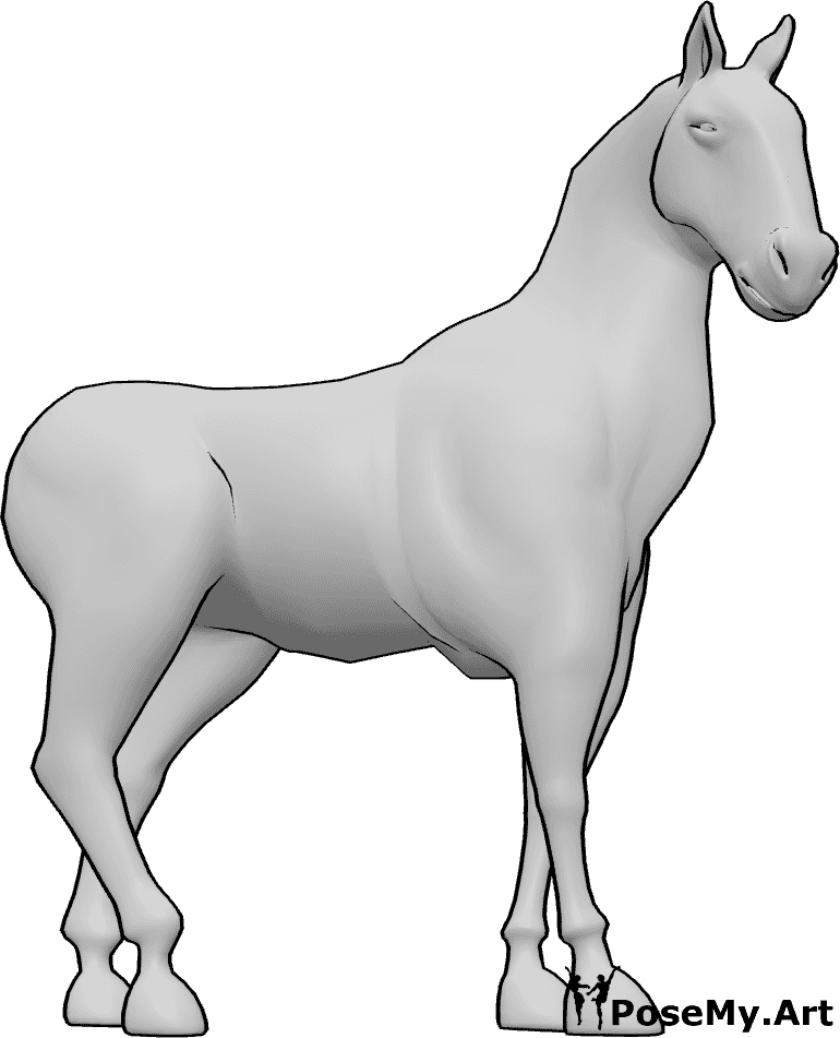 Pose Reference- Horse pose - Horse is standing calmly in a relaxed posture, looking slightly to the right