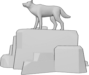 Pose Reference- Wolf pose - Wolf is standing on top of a rock, preparing to howl