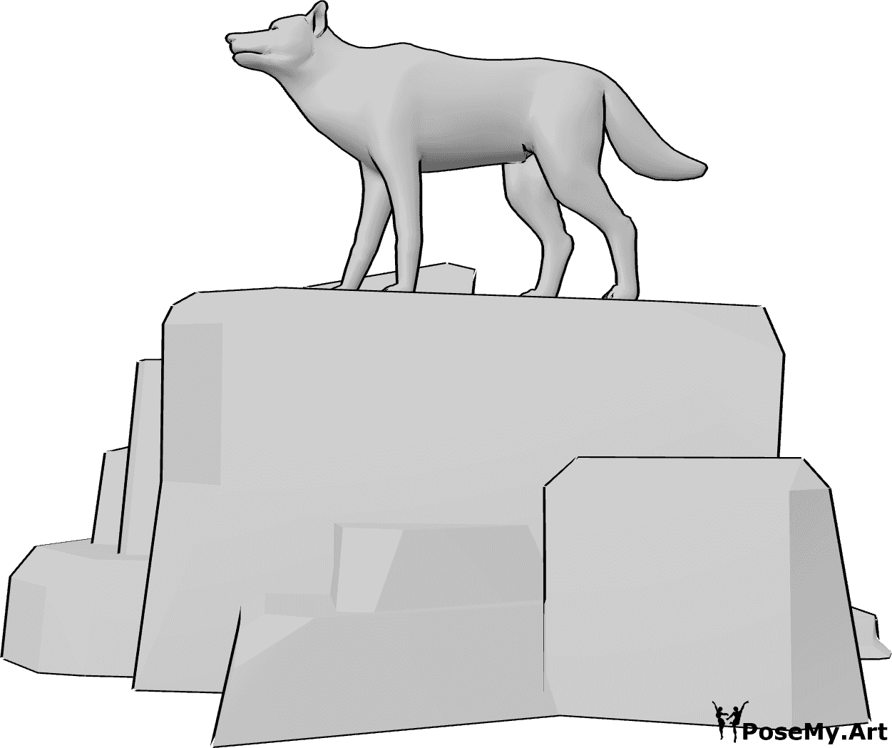 Pose Reference- Wolf pose - Wolf is standing on top of a rock, preparing to howl