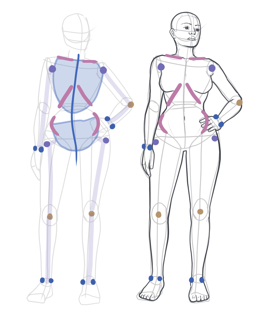 Using anatomical landmarks to construct a figure pose with the ribcage, pelvis, and major joints