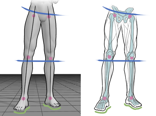 drawing legs with 3D pose references