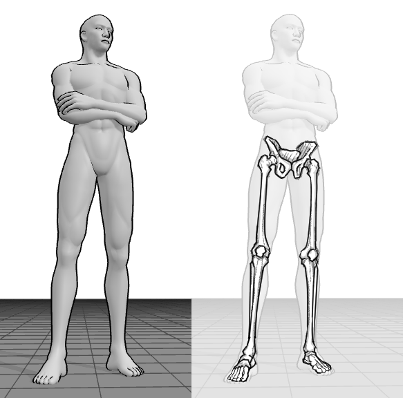 Male pose reference and skeleton drawing | 442