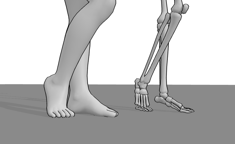 Realistic Female Model Feet And Skeleton Model Feet References | 528