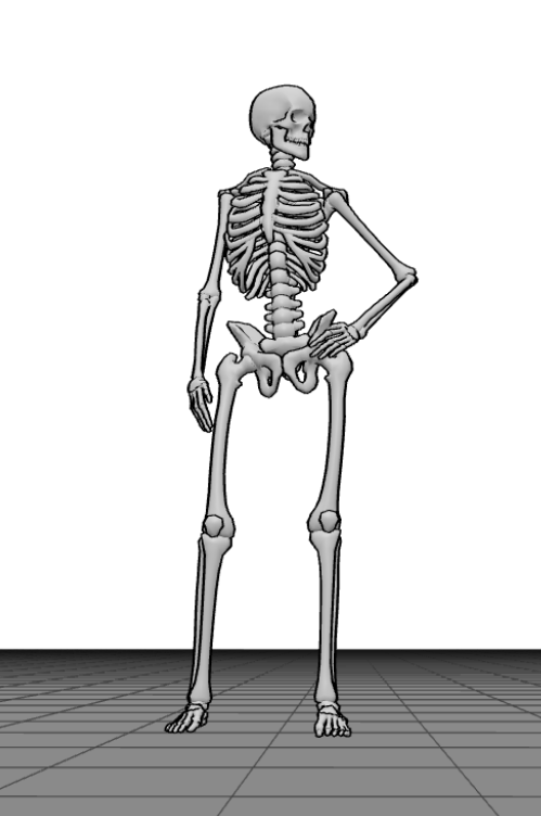 skeleton model standing pose reference|391