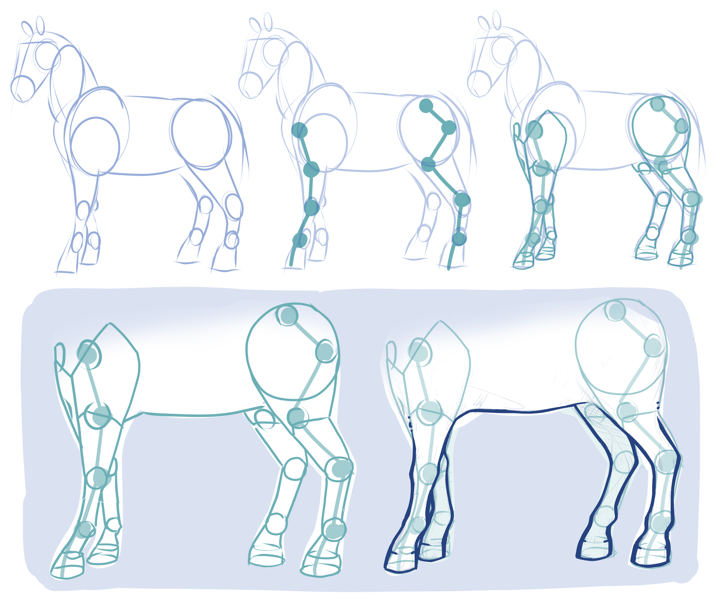 Step-by-step guide to drawing horse legs, breaking their structure into simple shapes and sections
