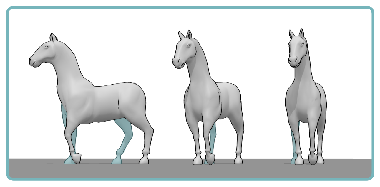 Horse 3D reference shown from three angles, highlighting the far-side legs behind the visible legs