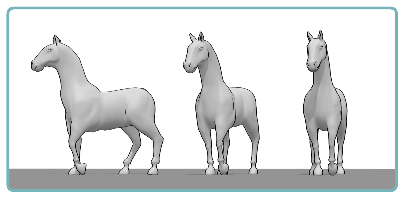 Horse pose shown from three different angles: front, three-quarter, and side view