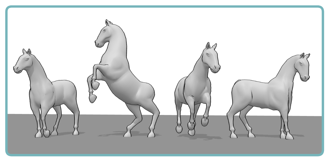 Horse pose references for studying body structure and proportions