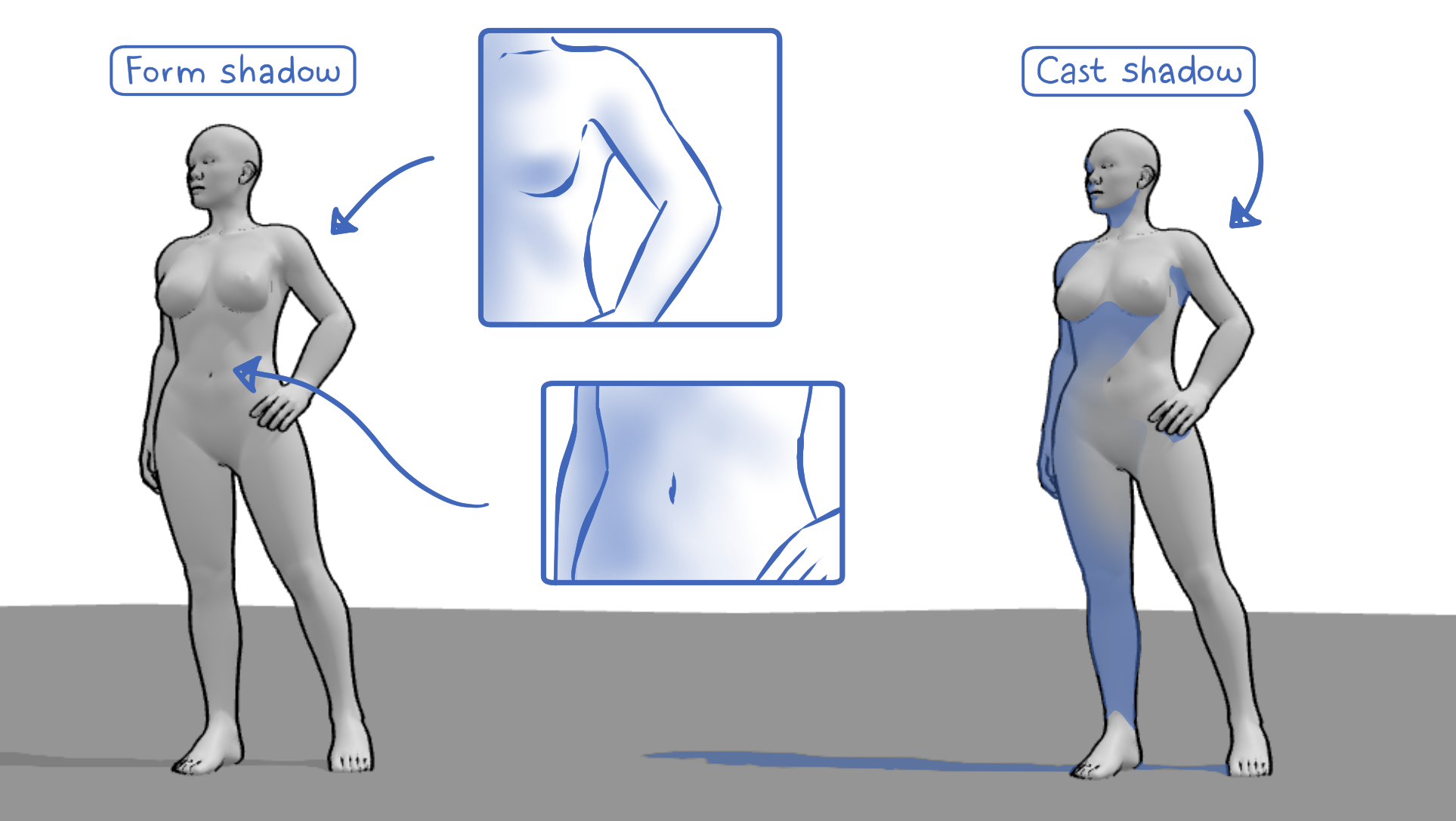 Female 3D model with a drawing illustrating the form shadow and cast shadow on the figure