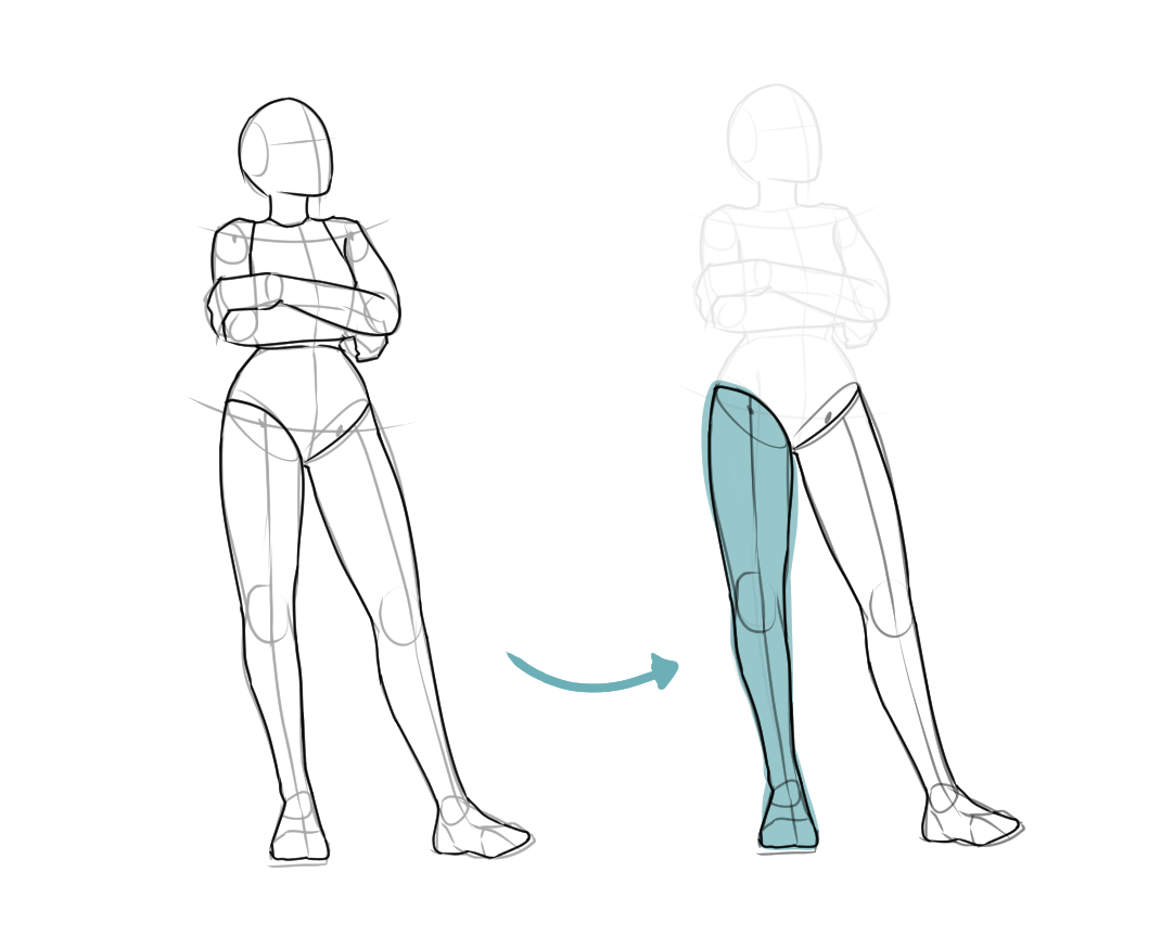 Standing pose drawing with the supporting leg highlighted
