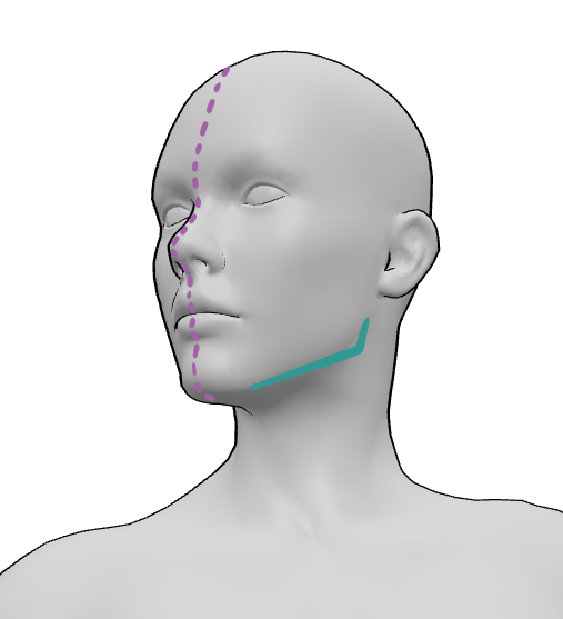 3D female reference model jaw angle and middle line|306