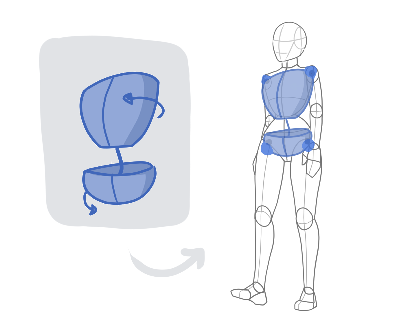 Walking pose drawing showing the ribcage and pelvis