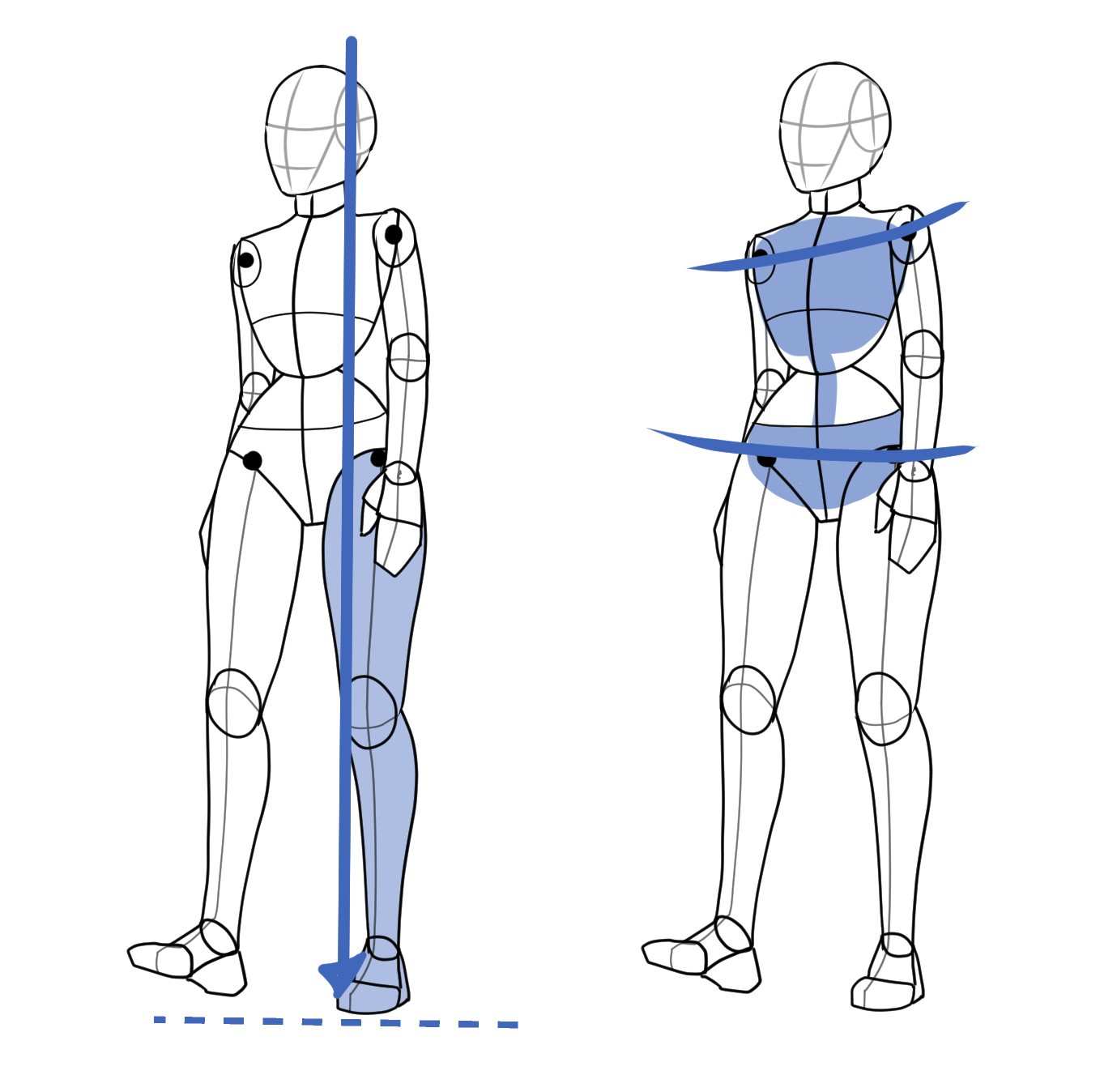 Walking pose drawing showing the supporting leg carrying the body's weight