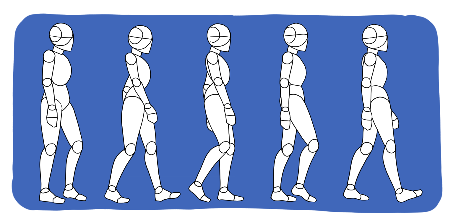 Walking cycle drawing showing five key stages of a walking pose sequence