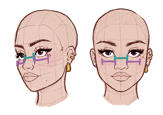 illustration of distance between the eyes