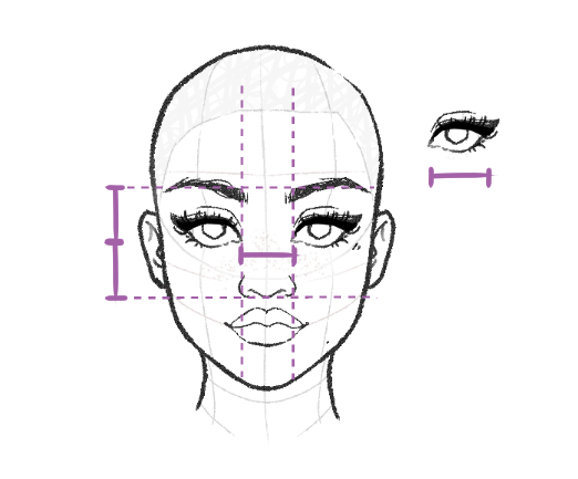 face drawing explaining eye width spacing