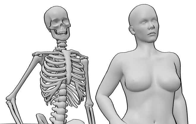 skeleton model and female model pose reference