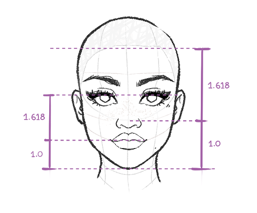 facial proportions explained with the golden ratio, face drawing