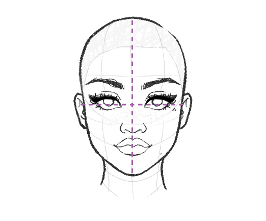 face drawing, dividing face into halves