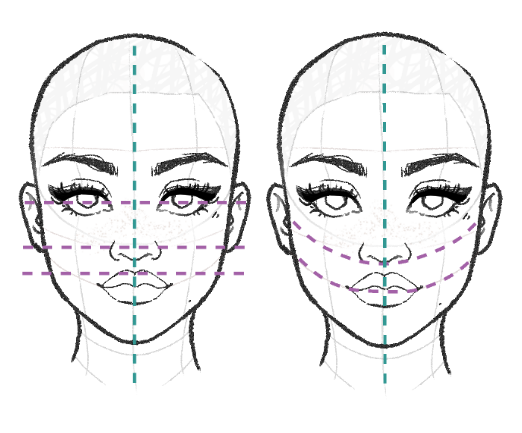 face drawing vertical and horizontal guidelines