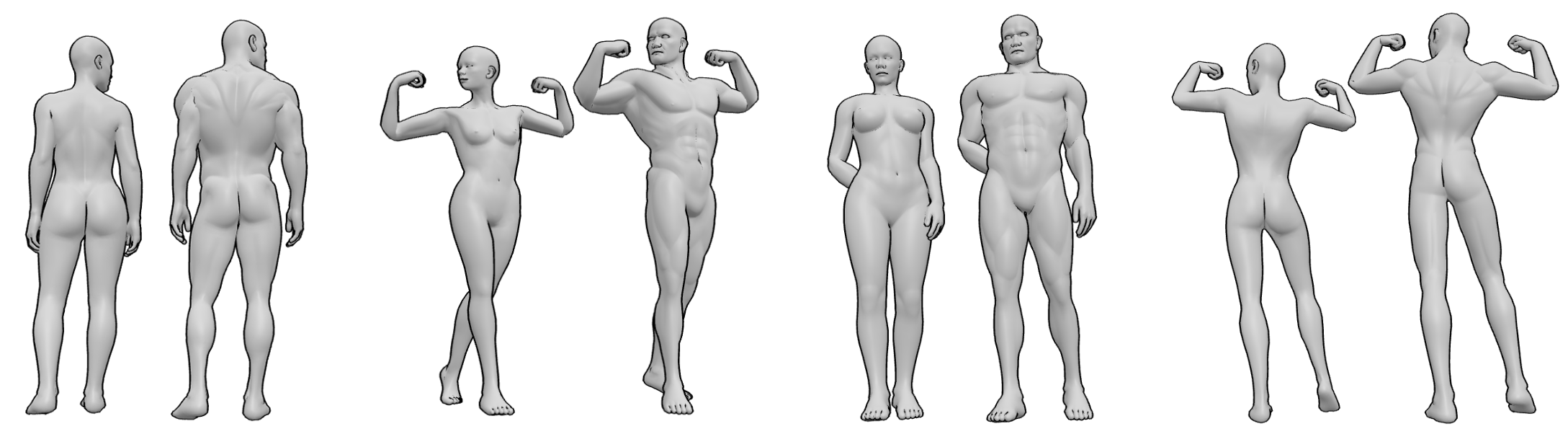 Female and male bodies in the same poses for anatomical comparison