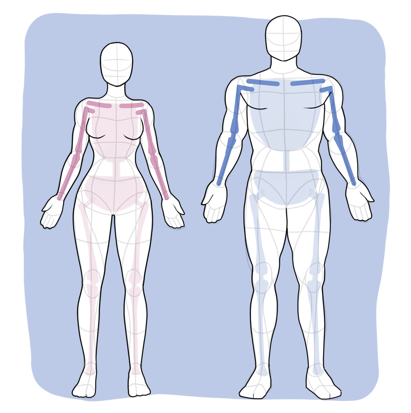 Female vs male shoulders compared, with clavicles and arm positions highlighted