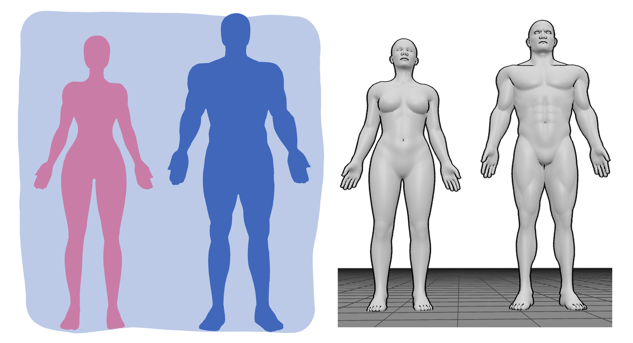 Female and male 3D body references and silhouettes