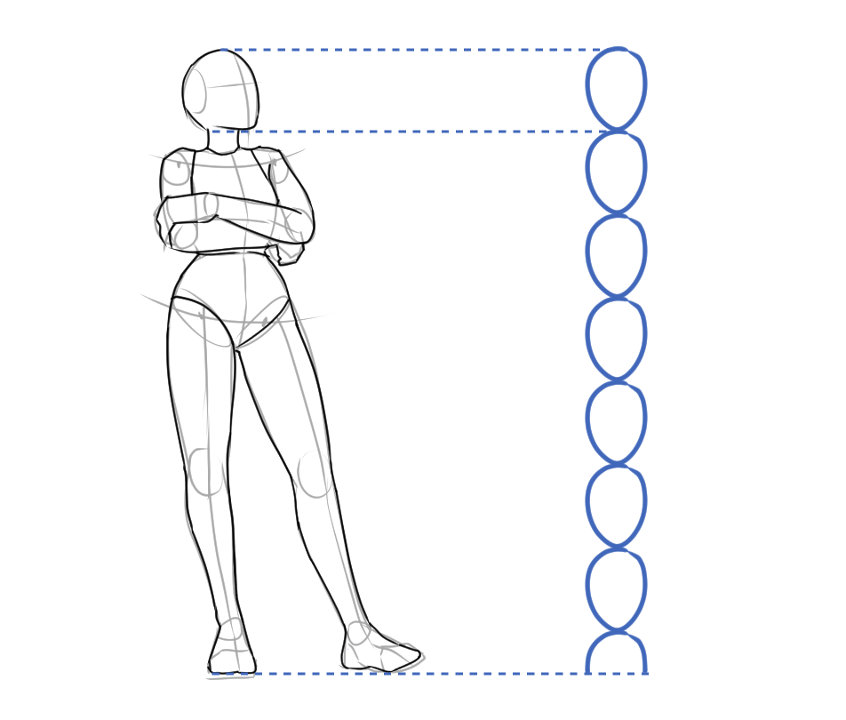 7.5-head proportion guide for drawing human figure proportions