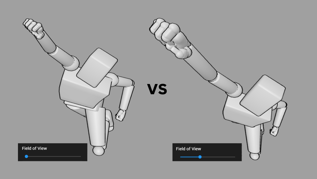 Flying Model with FOV Adjustment