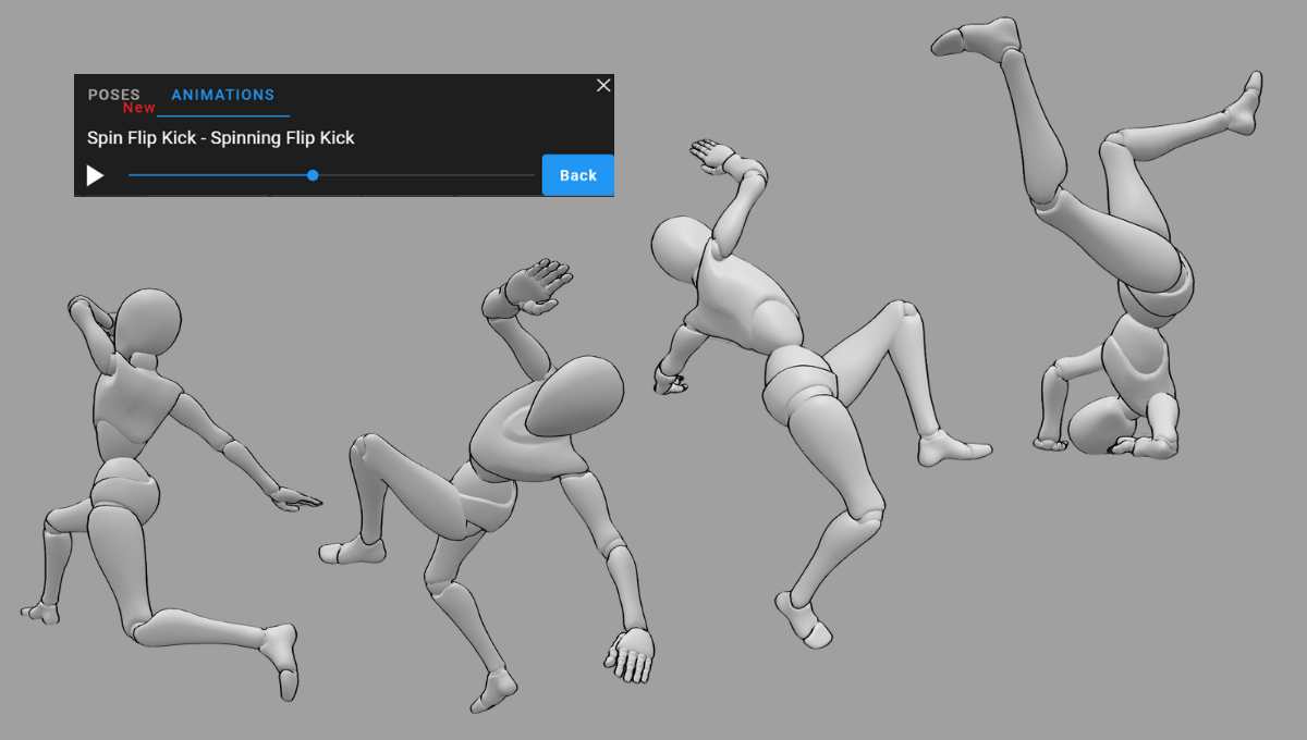 Spinning Flip Kick Animation