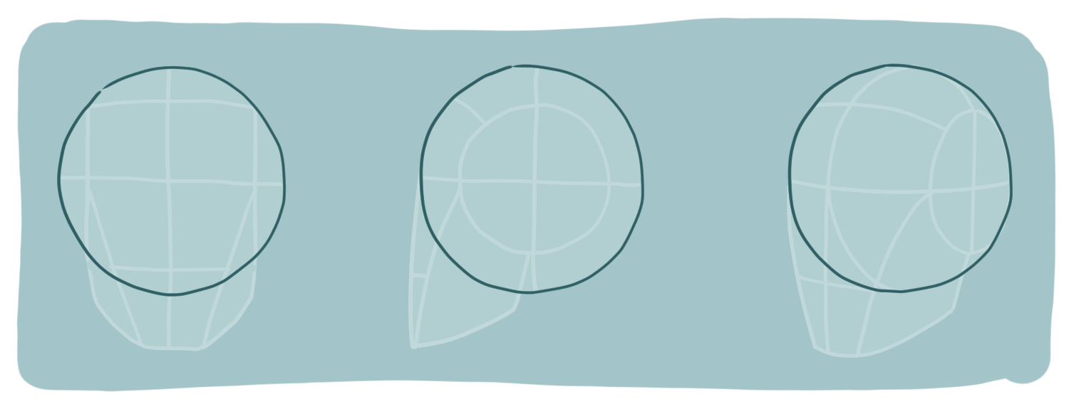 Loomis method head construction showing the basic cranium shape as a rounded form