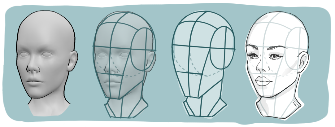 Drawing a head using the Loomis method and a 3D reference
