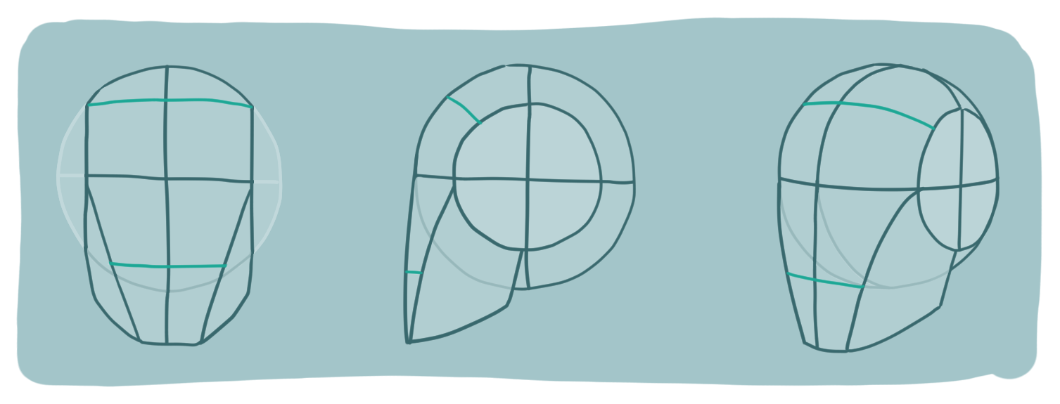 Loomis method head construction showing the hairline, nose line, and facial guidelines