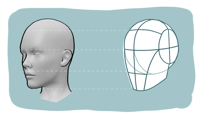 Loomis method head construction with a 3D head reference in three-quarter view