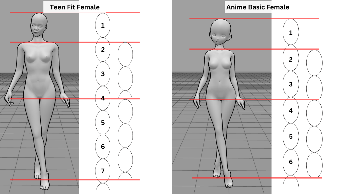 Realistic vs. Anime Proportions