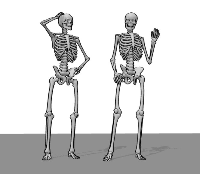 3D Drawing Reference Models - Skeleton Model | 400