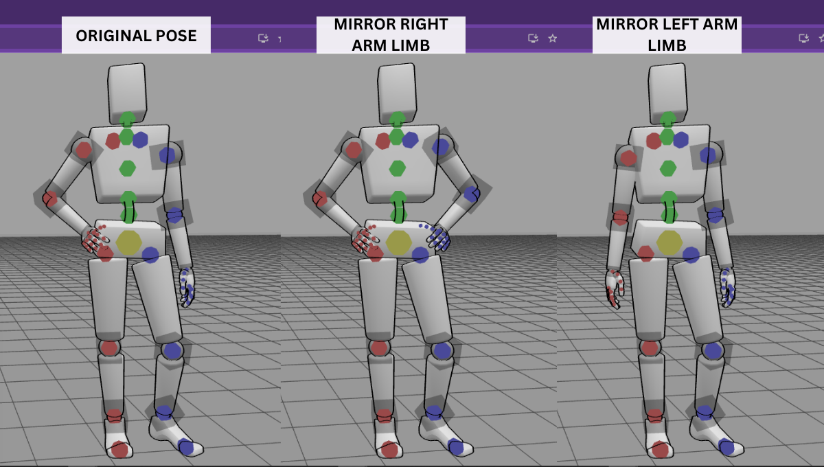 Mirror Arm Limb Sample